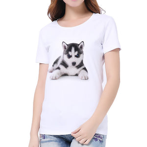 Summer T shirt women Naughty Cat 3D Lovely Printing Originality O-Neck harajuku Short Sleeves T-shirts tshirt Tops Tee