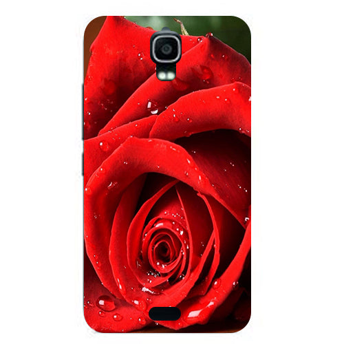 feel free Case For Huawei Y360 Y3 Y3C Y336 Back Cover Flower Plants Original Hard Plastic Printed Cartoon Cute Cat Owl Animal Phone Case