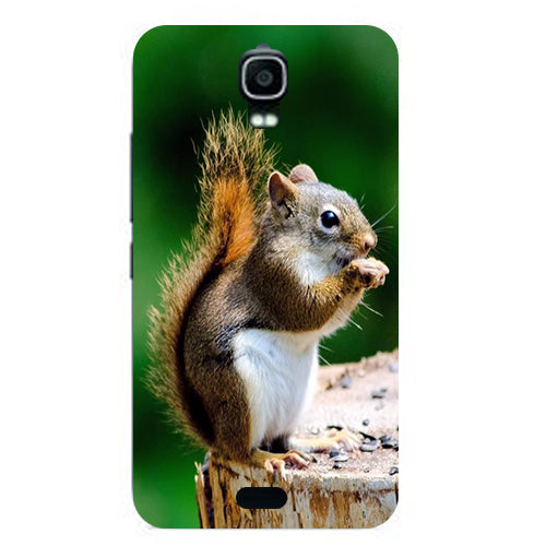 feel free Case For Huawei Y360 Y3 Y3C Y336 Back Cover Flower Plants Original Hard Plastic Printed Cartoon Cute Cat Owl Animal Phone Case