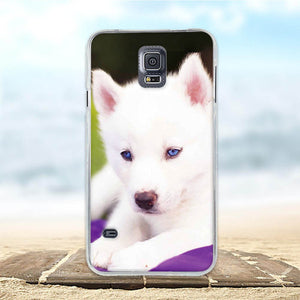 am here For Samsung Galaxy S5 S6 S7 S9 PLUS Case Soft Silicon TPU 3D Cat Cute Back Cover For Samsung S5 S6 S7 S9 S9 PLUS s9+ Phone Cases