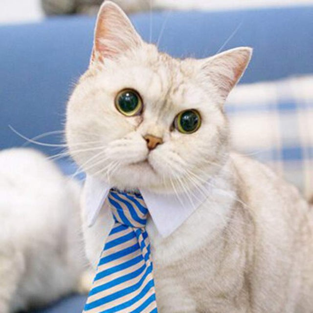 [MPK Store] Cute Cat Ties