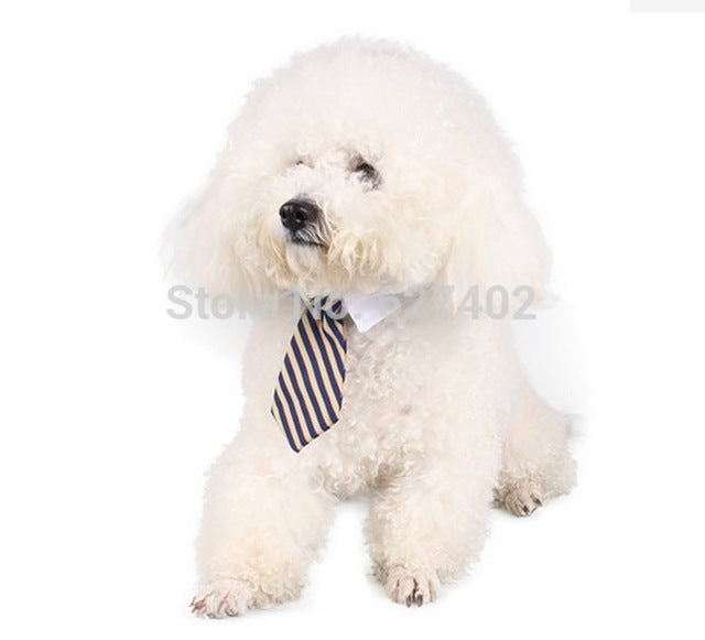 [MPK Store] Cute Cat Ties