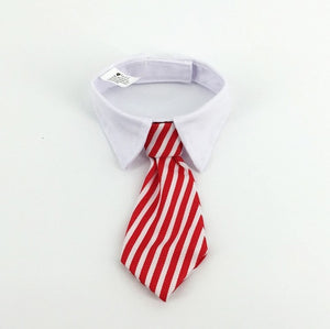 [MPK Store] Cute Cat Ties