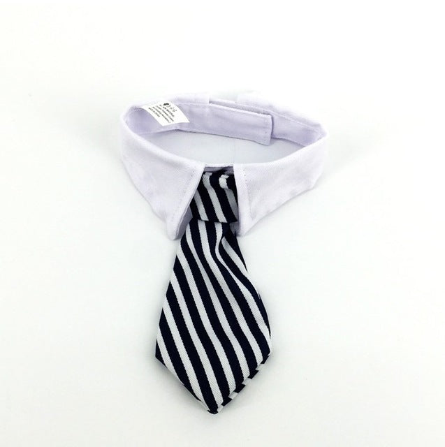 [MPK Store] Cute Cat Ties