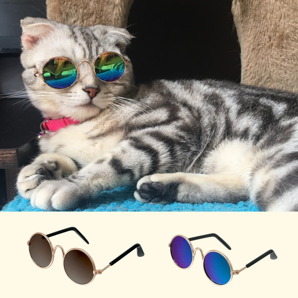 Summer Cat Sunglasses Pet Accessories  Cats Glasses Grooming Eye Protection Pet Cool Glasses Pet Photos Props
